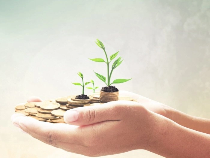 About Swamini Maa Ganga Nidhi